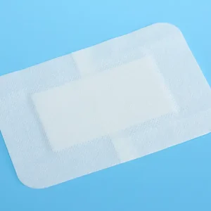 Chitosan Wound Dressing